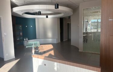 Location local 236 m² – L&rsquo;Isle d&rsquo;Abeau