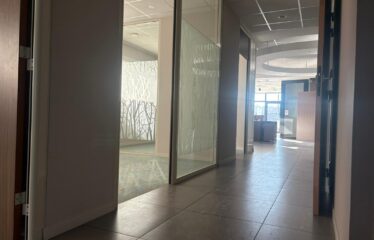 Location local 236 m² – L&rsquo;Isle d&rsquo;Abeau