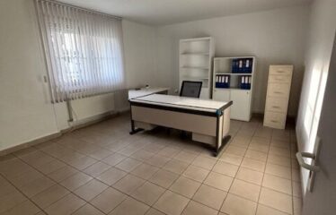 Location local 860 m² – Saint-Laurent-de-Mure